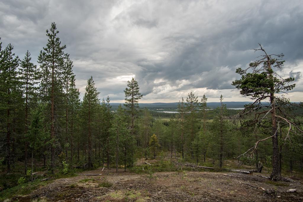 Pellon Helmi Holiday Cottages Exteriér fotografie